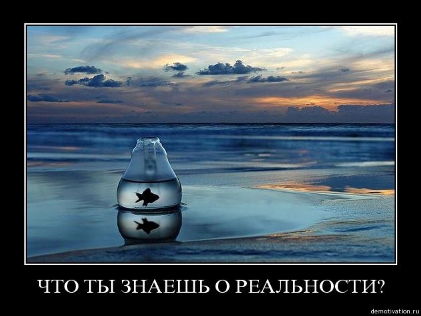 Файл:Собеседование тестировщиков. Что спросить и как ответить (Александр Барановский, SQADays-2011).pdf